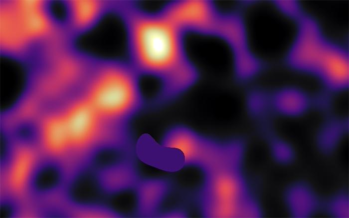 Новое исследование проливает свет на распределение тёмной материи