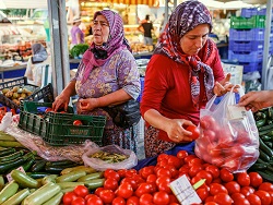 Турция давит на российские помидоры