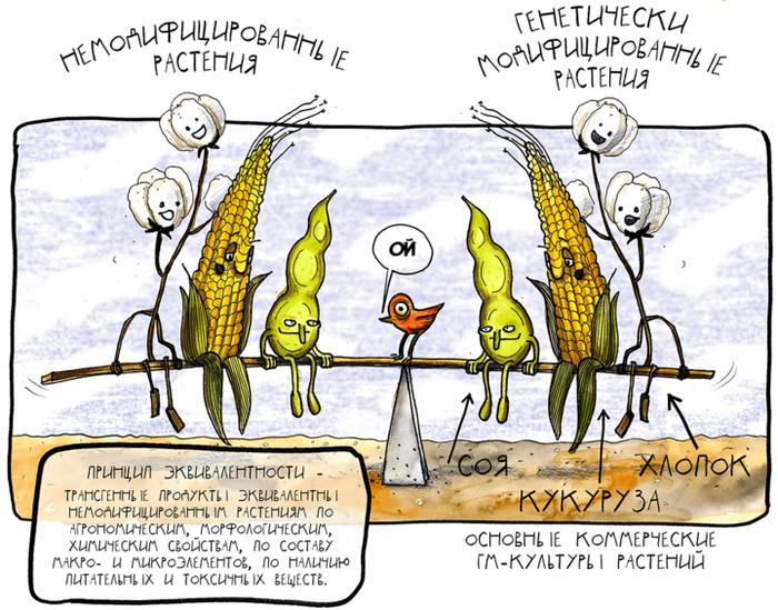 ГМО: бояться нельзя питаться. Биологи знают, где поставить запятую