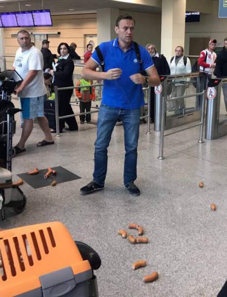 В аэропорту Домодедово Навального закидали сардельками