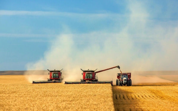 Производство зерна в мире составит 2,177 млн. тонн в 2019-20 МГ - прогноз