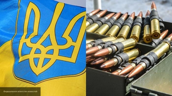 Украина стала международным контрабандистом: как Киев покрывает «оружейных баронов»