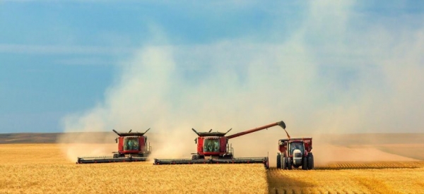 Объем мирового производства зерна в 2019-20 МГ увеличится до 2,17 млрд. тонн — IGC