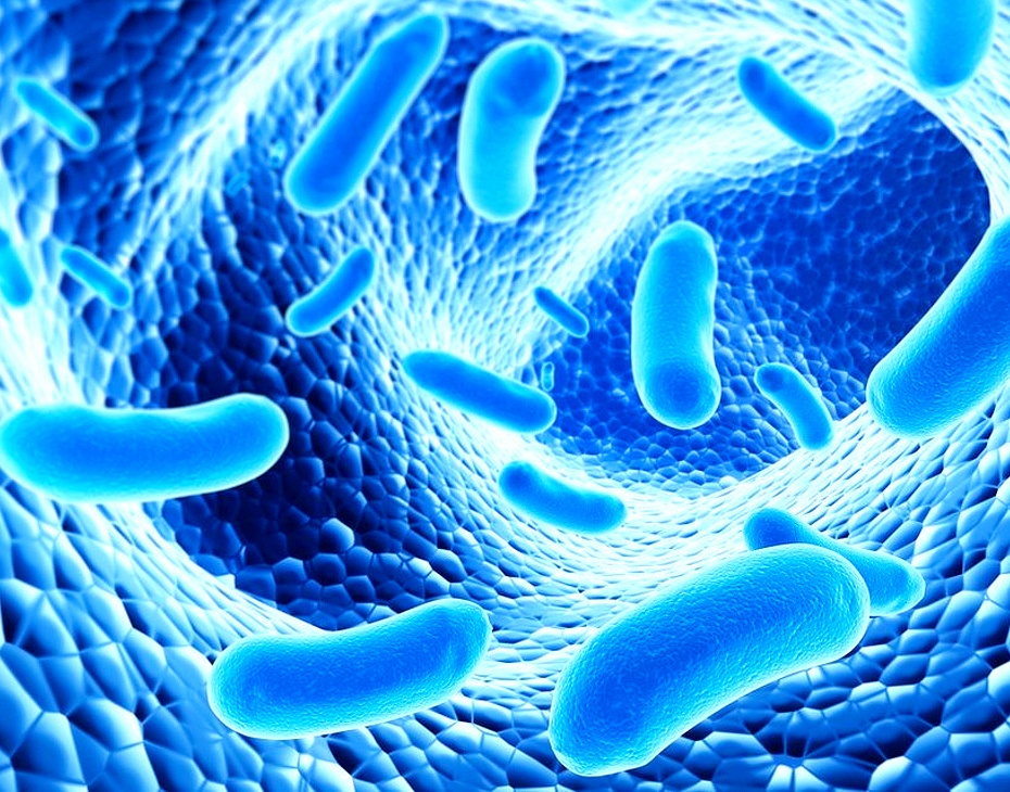 Ученые нашли в вечной мерзлоте бактерии, поедающие пластик