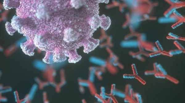 Коронавирус в мире: антитела живут лишь несколько месяцев.