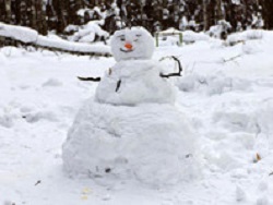 В Калуге неизвестные вандалы уничтожили "парад снеговиков"