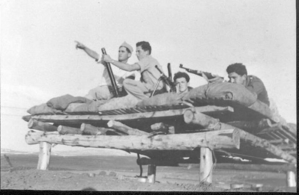Карманная артиллерия Хаганы. Годы становления Израиля