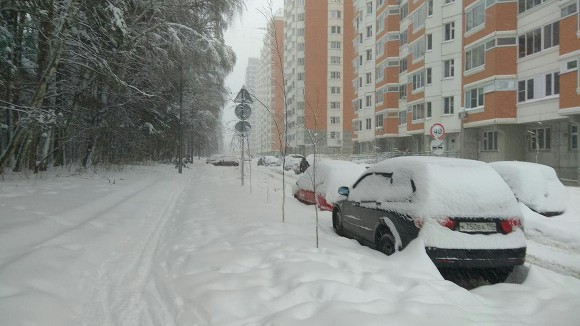В Москве голая женщина раздела трех своих детей и закопала в снег