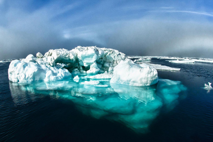 Арктические бактерии могут поедать нефть и дизель