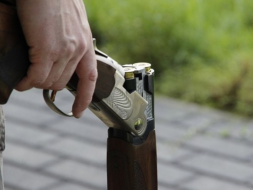Росгвардия предложила привлечь к процессу выдачи лицензий на оружие ФСБ