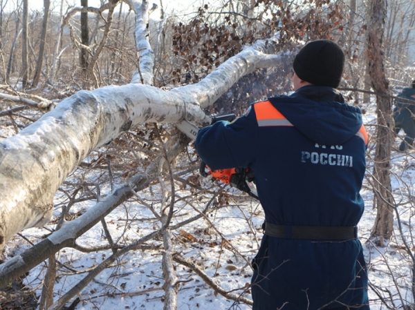 Во Владивостоке возникло запредельное недовольство властью